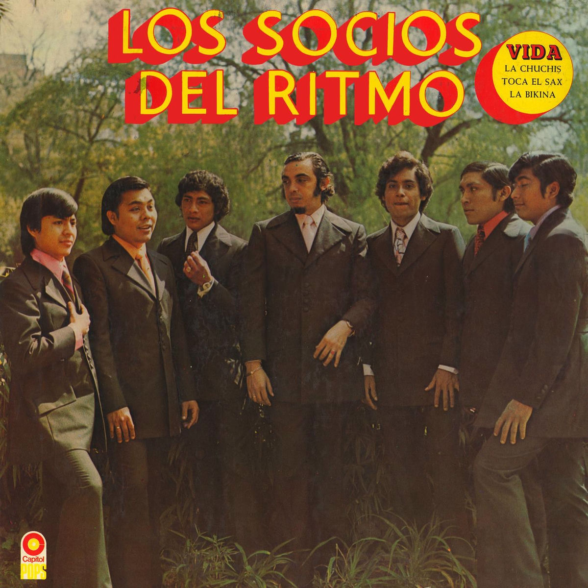 Album cover of Vida