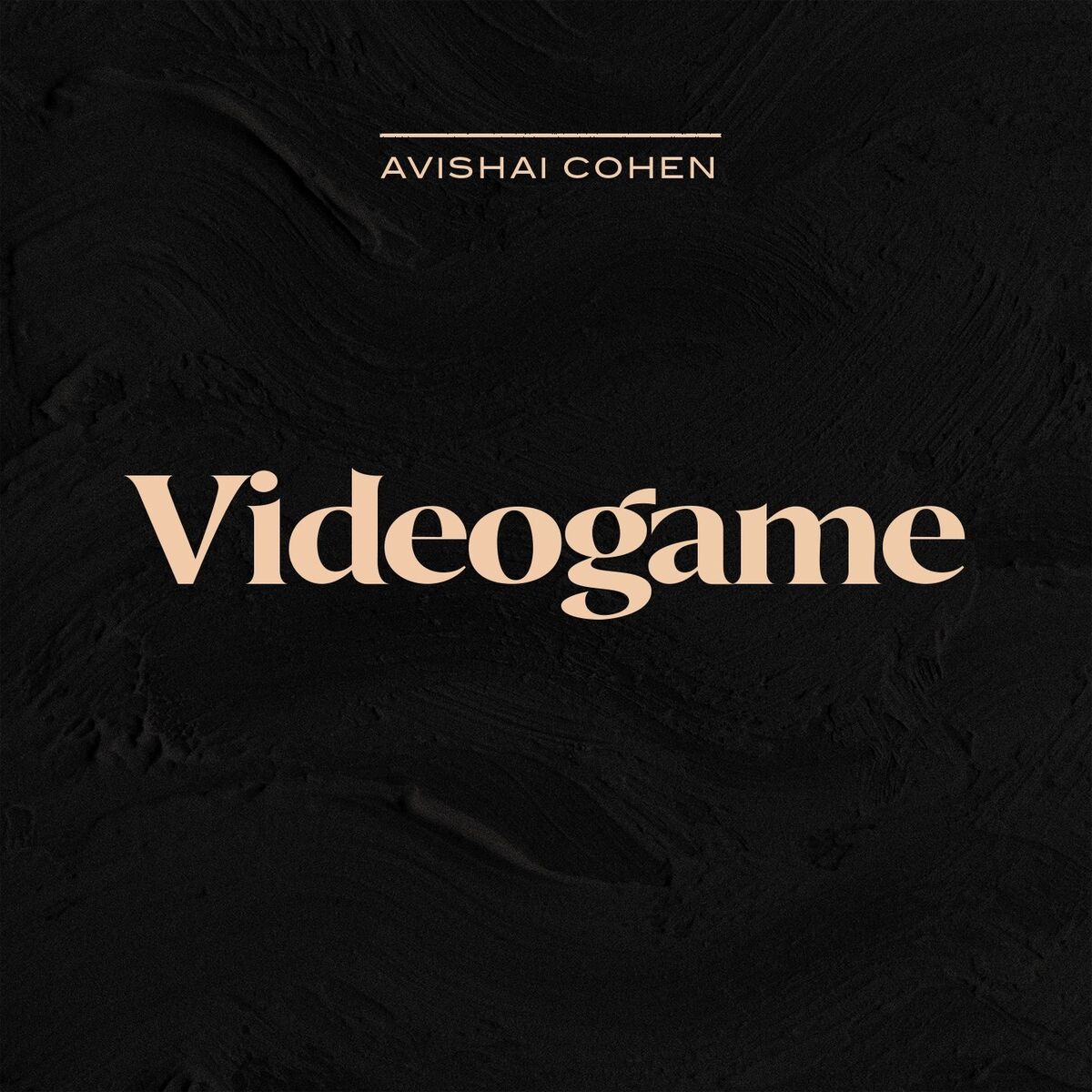 Album cover of Videogame