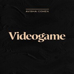 Cover of Videogame