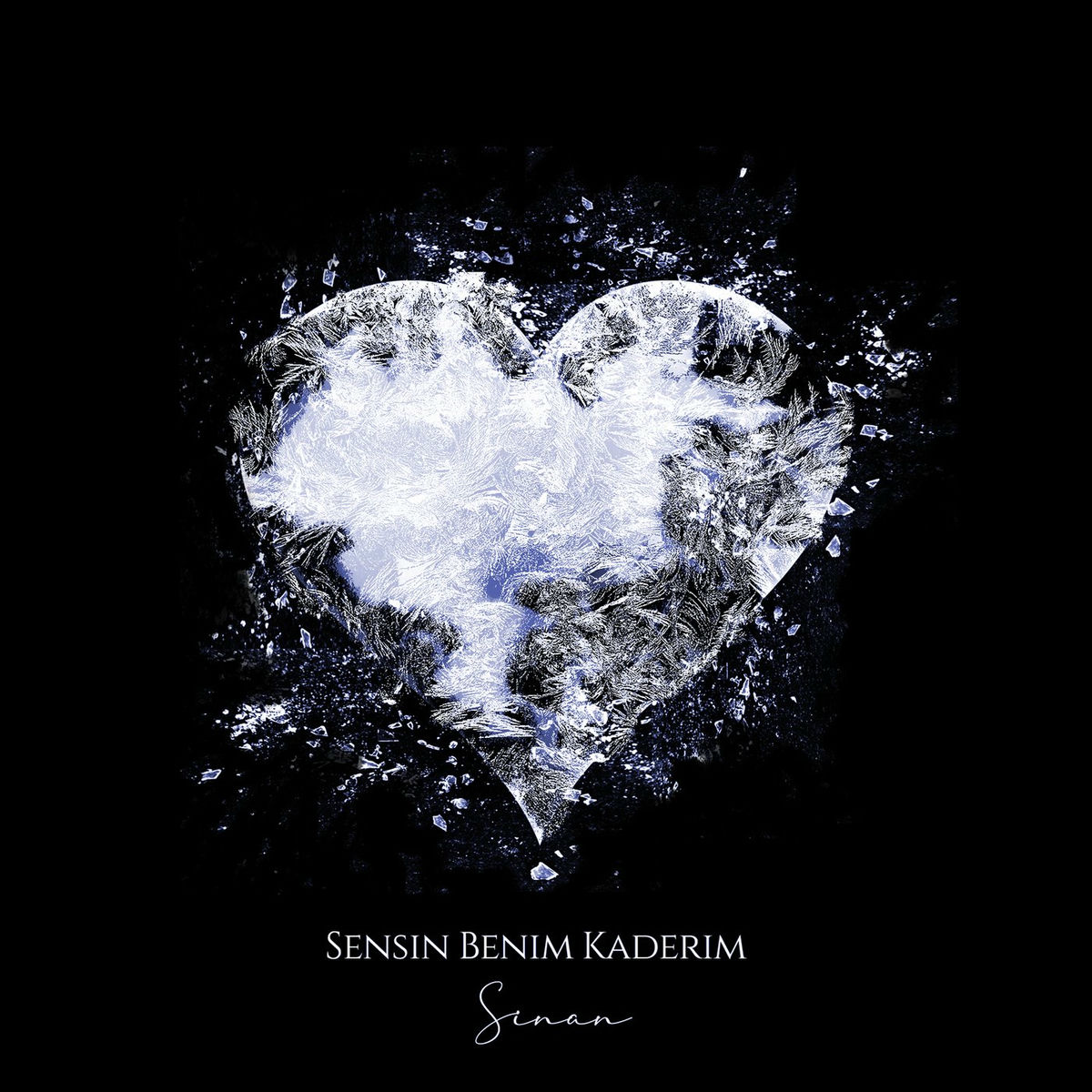 Album picture of Sensin Benim Kaderim