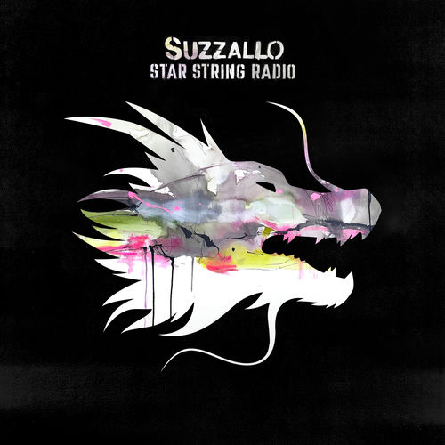Star String Radio sleeve
