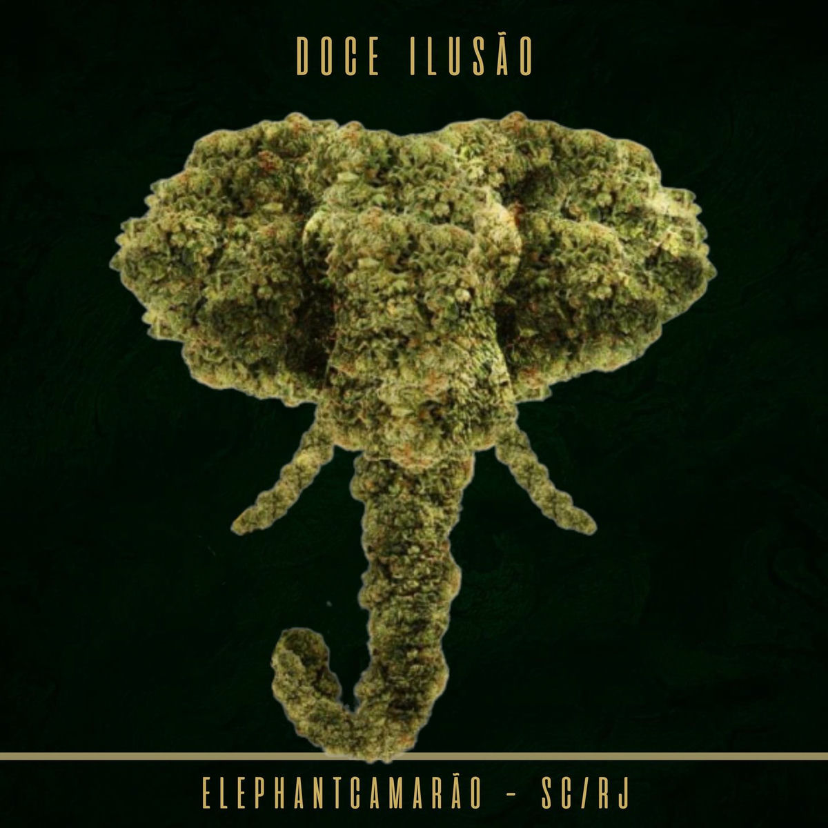 Album cover of Doce Ilusão