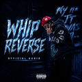 Whip Reverse