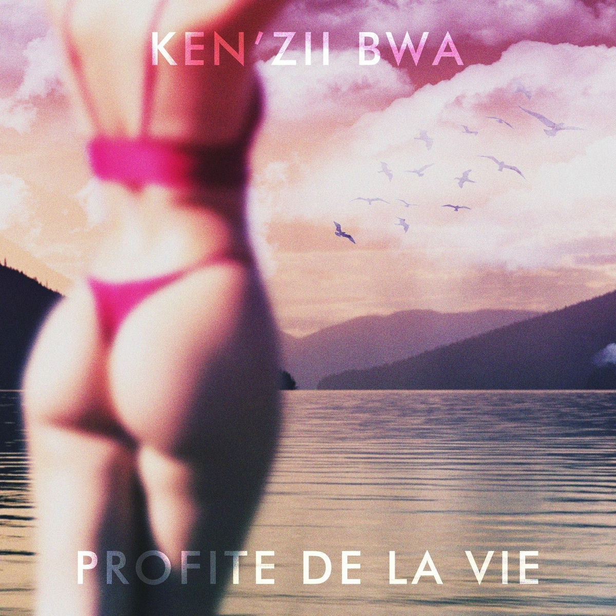 Album cover of PROFITE DE LA VIE