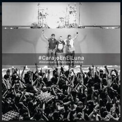 Vivo en Luna Park 19.11.16