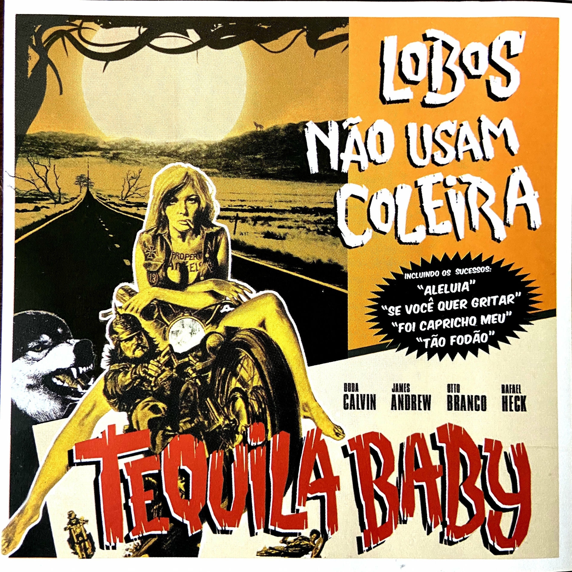 Album cover of Lobos Não Usam Coleira