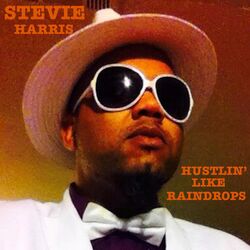 Cover of Hustlin' Like Raindrops