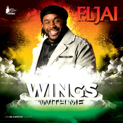 Cover of Wings with Me