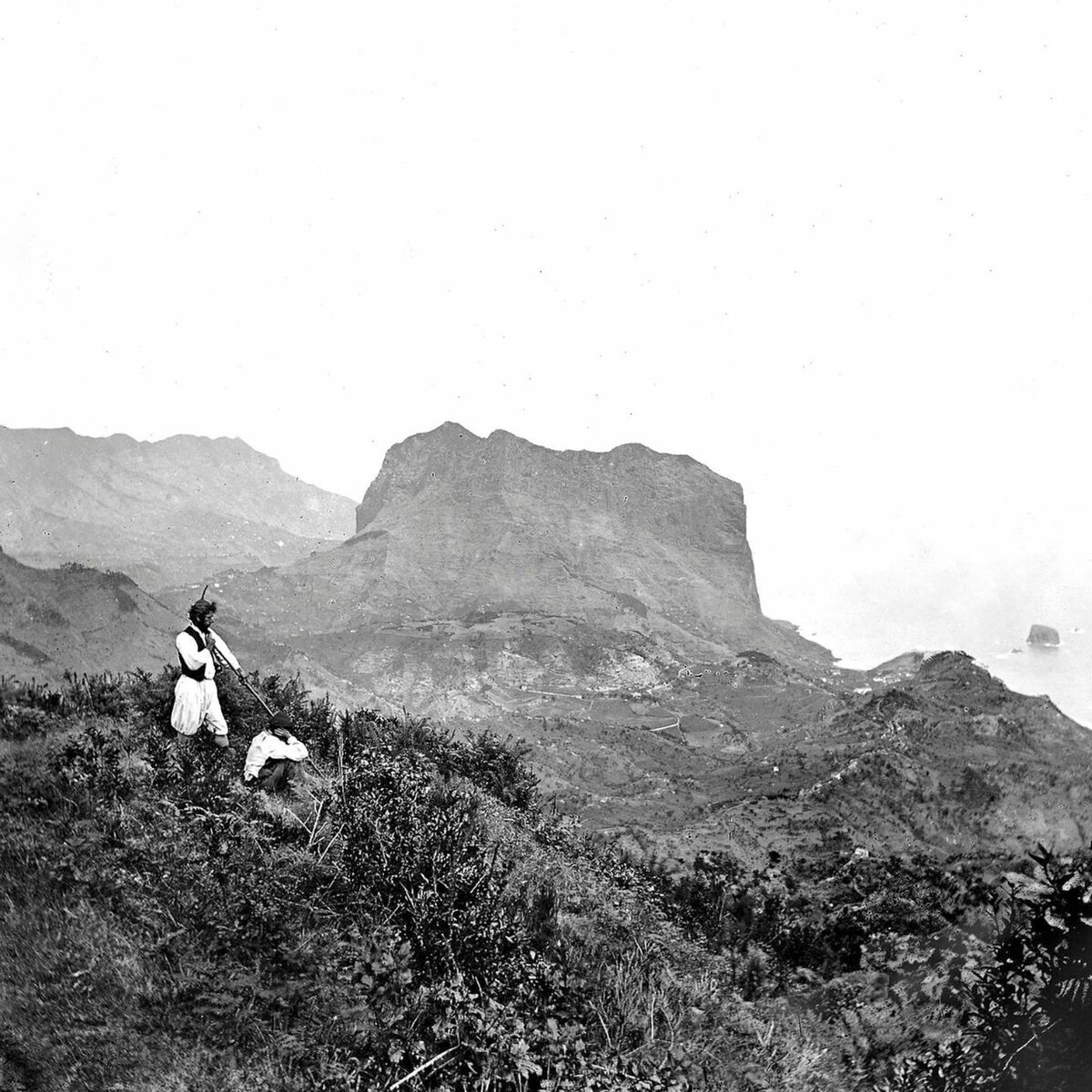 Album cover of Deslocado