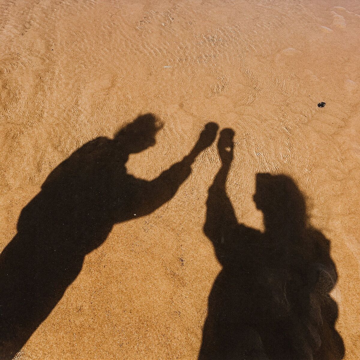 Album cover of la vida loca