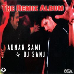 Cover of The Remix Album
