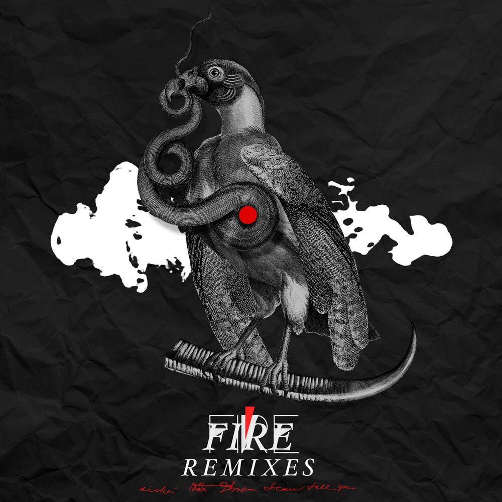 Picture of Fire (feat. Jolie and the Key) (Remixes)