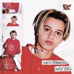 Cover of Boys Toys