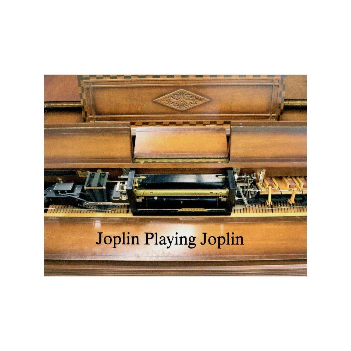 Album cover of Joplin Playing Joplin