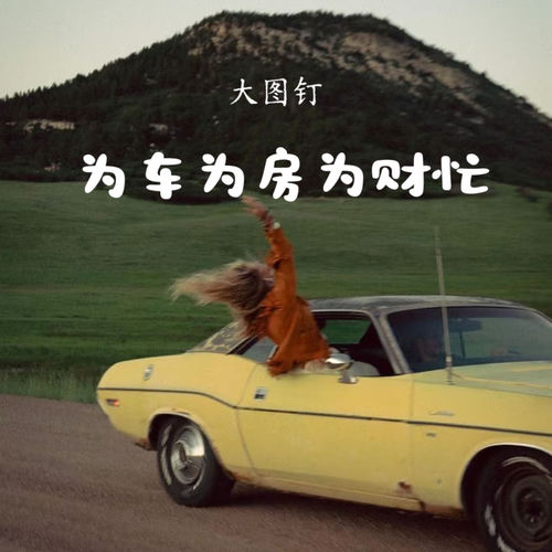 为车为房为财忙