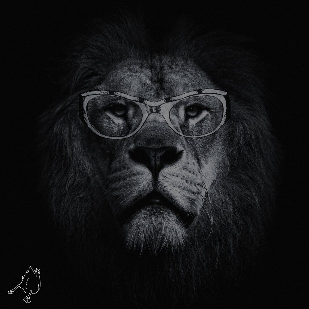 Picture of Animals