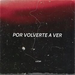 Por Volverte a Ver