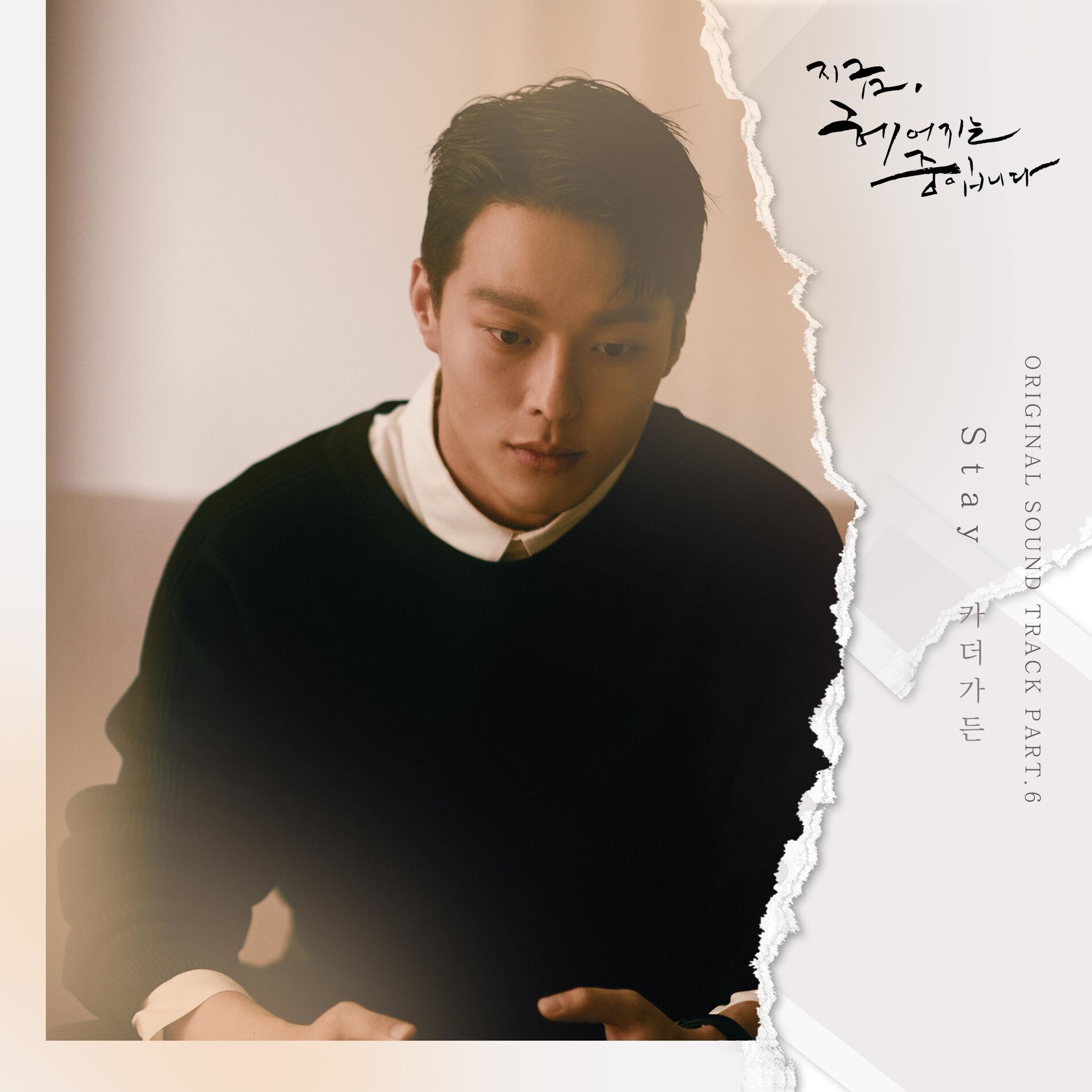 Album cover of Stay