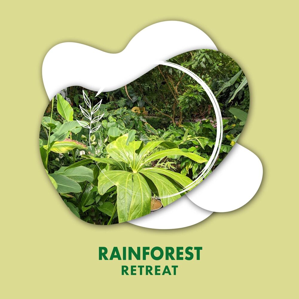 Picture of Rainforest Retreat