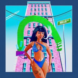 Cover of NICKI