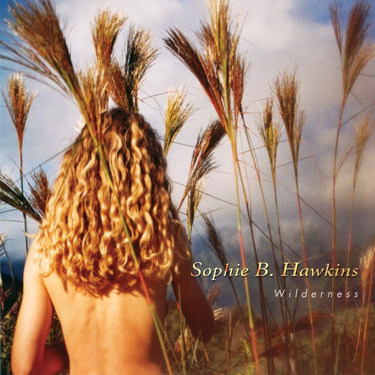 Album cover of Walking On Thin Ice