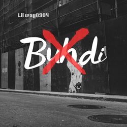 Cover of Buhdi