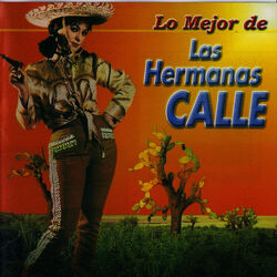 Cover of Lo Mejor de las Hermanas Calle, Vol. 1