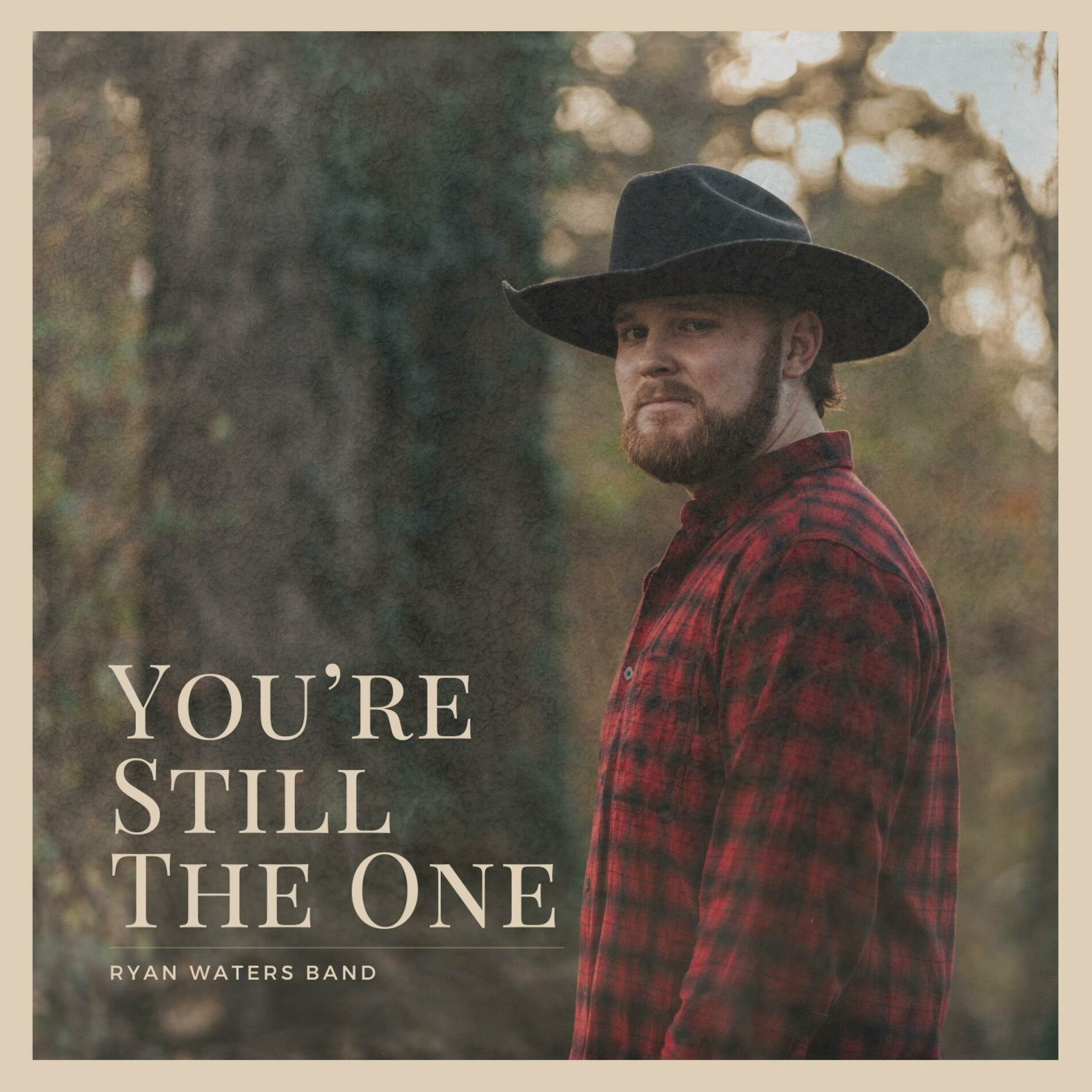 Album cover of You're Still The One
