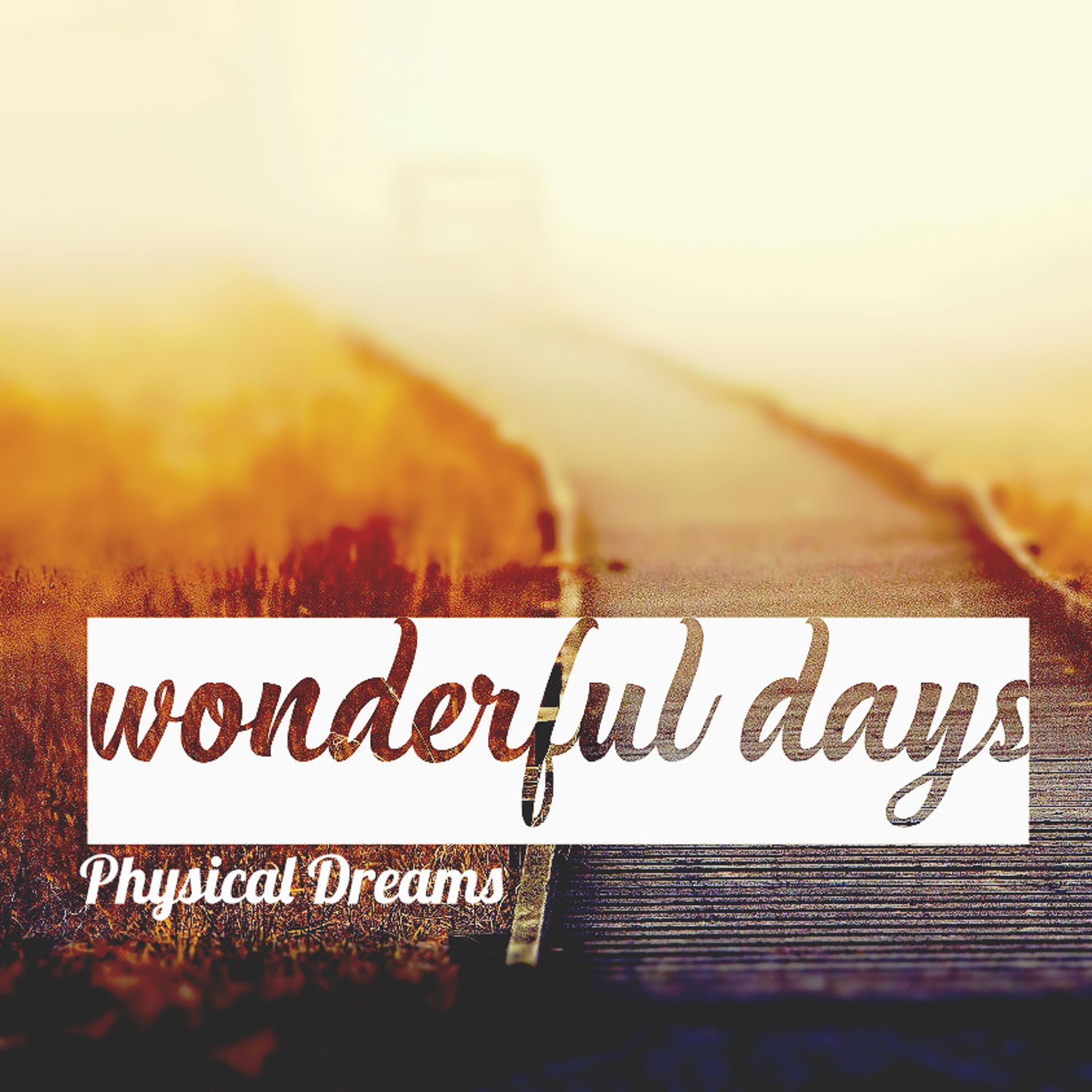 Album cover of Wonderful Days