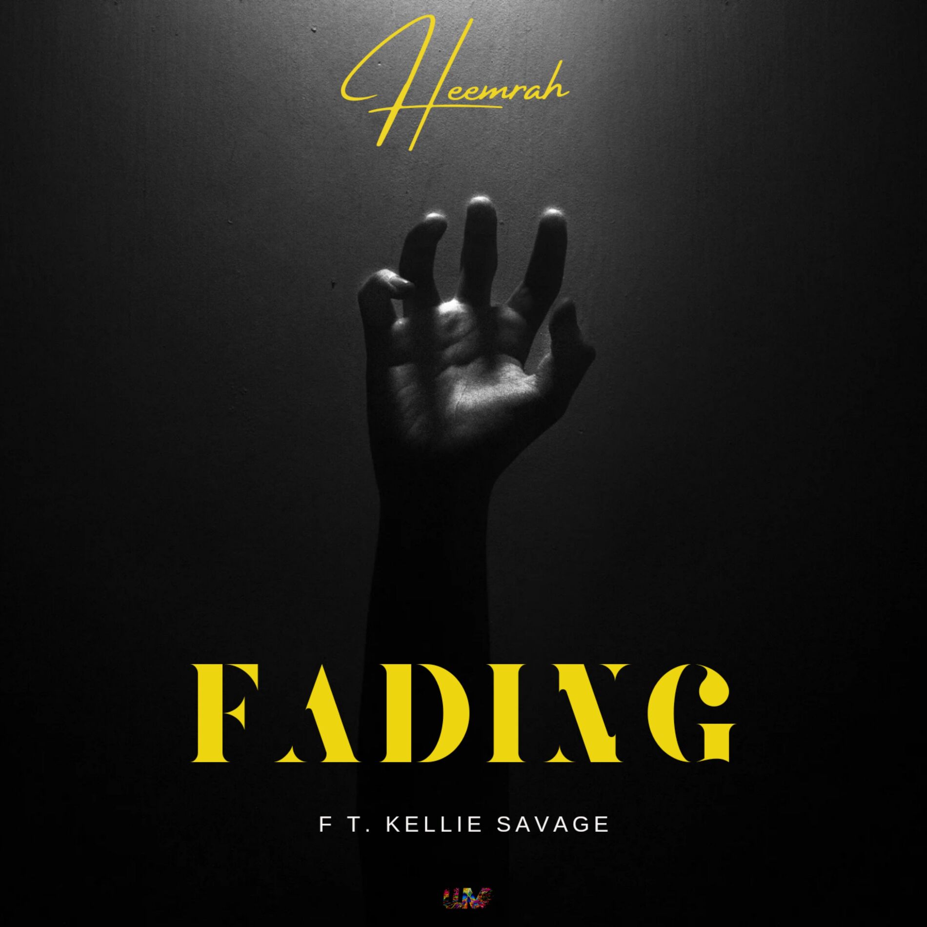 Album cover of Fading