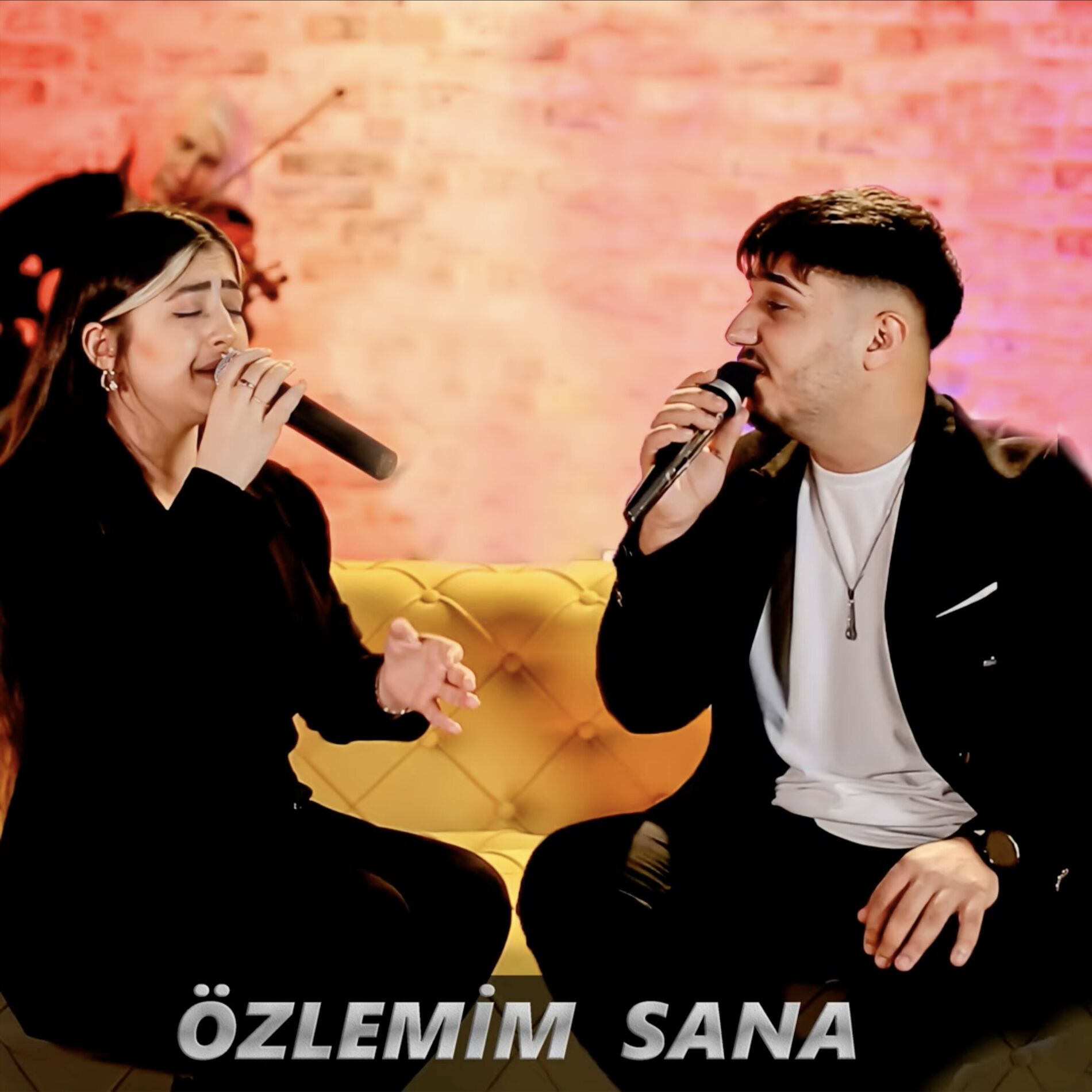 Album cover of Özlemim Sana
