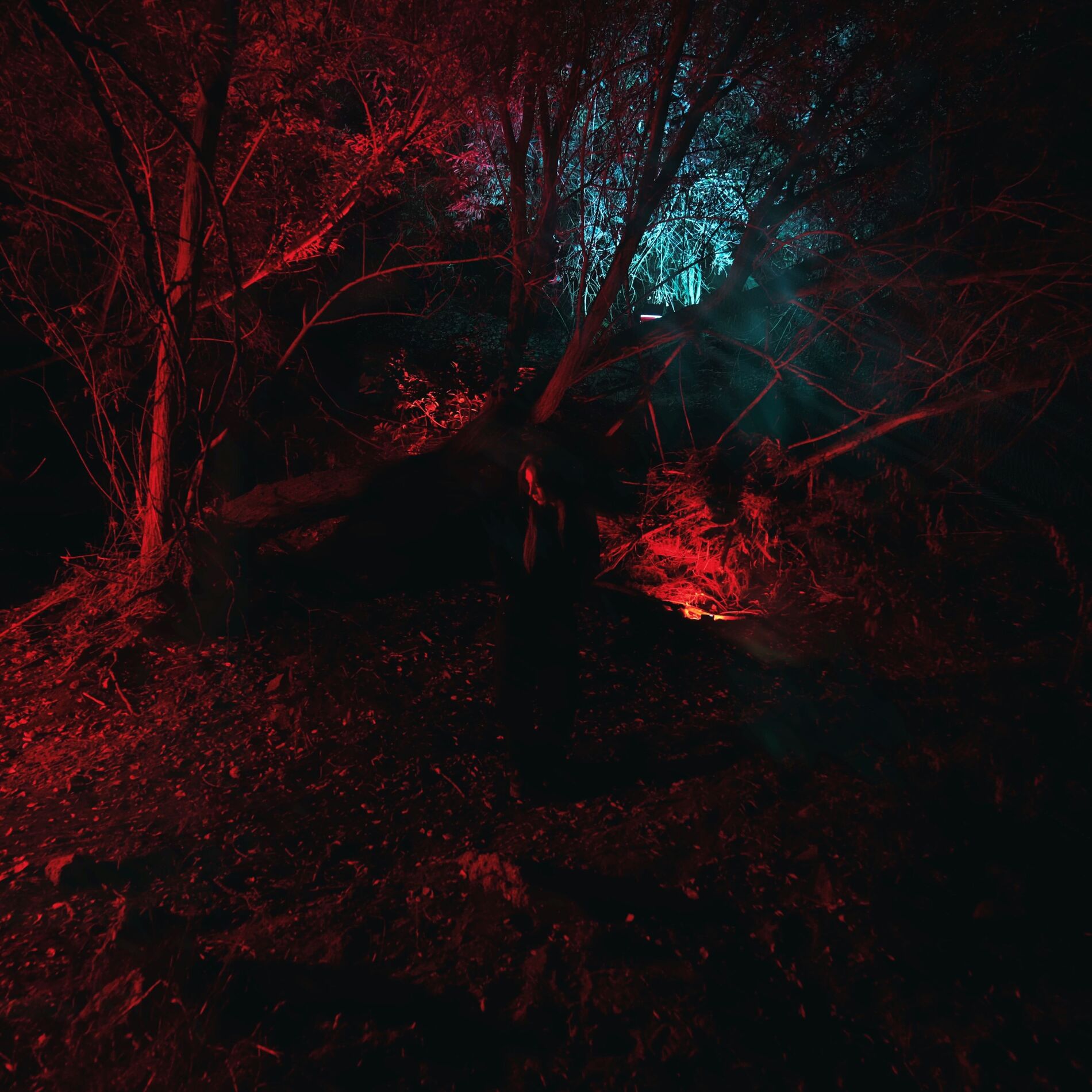 Album cover of KAMELEON
