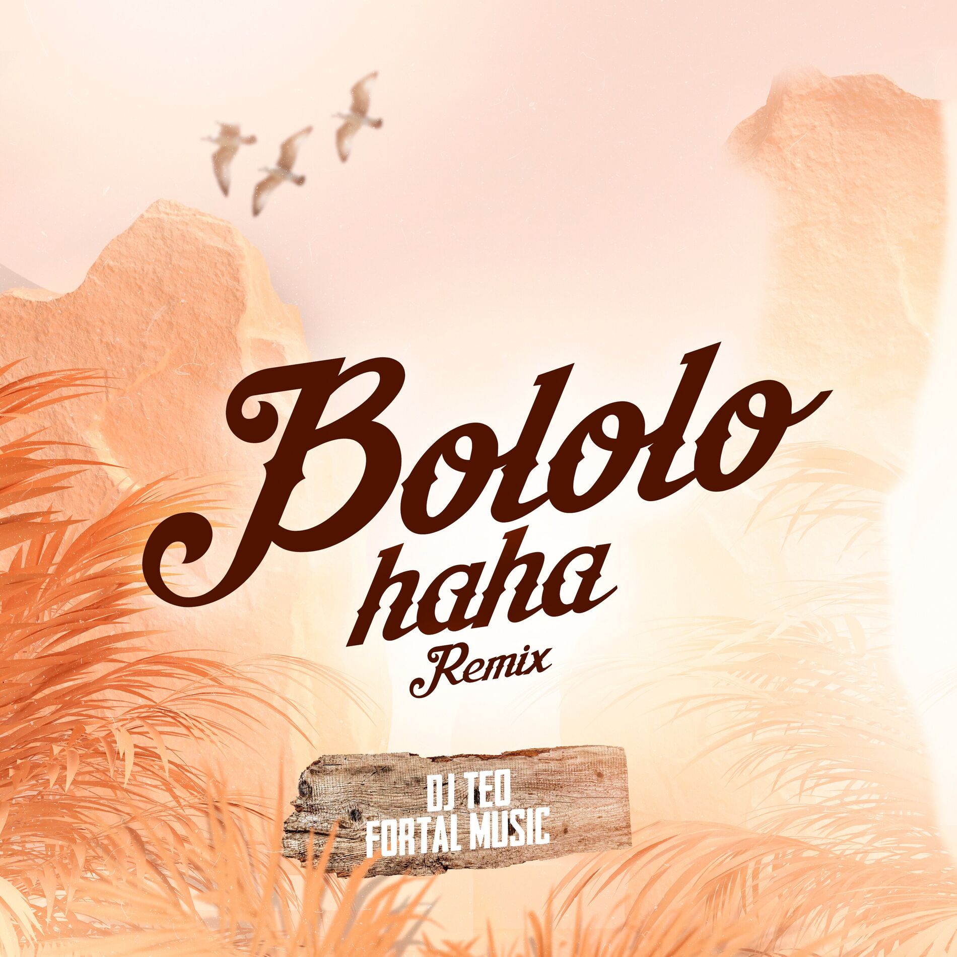Album cover of Bololo Haha (Remix)
