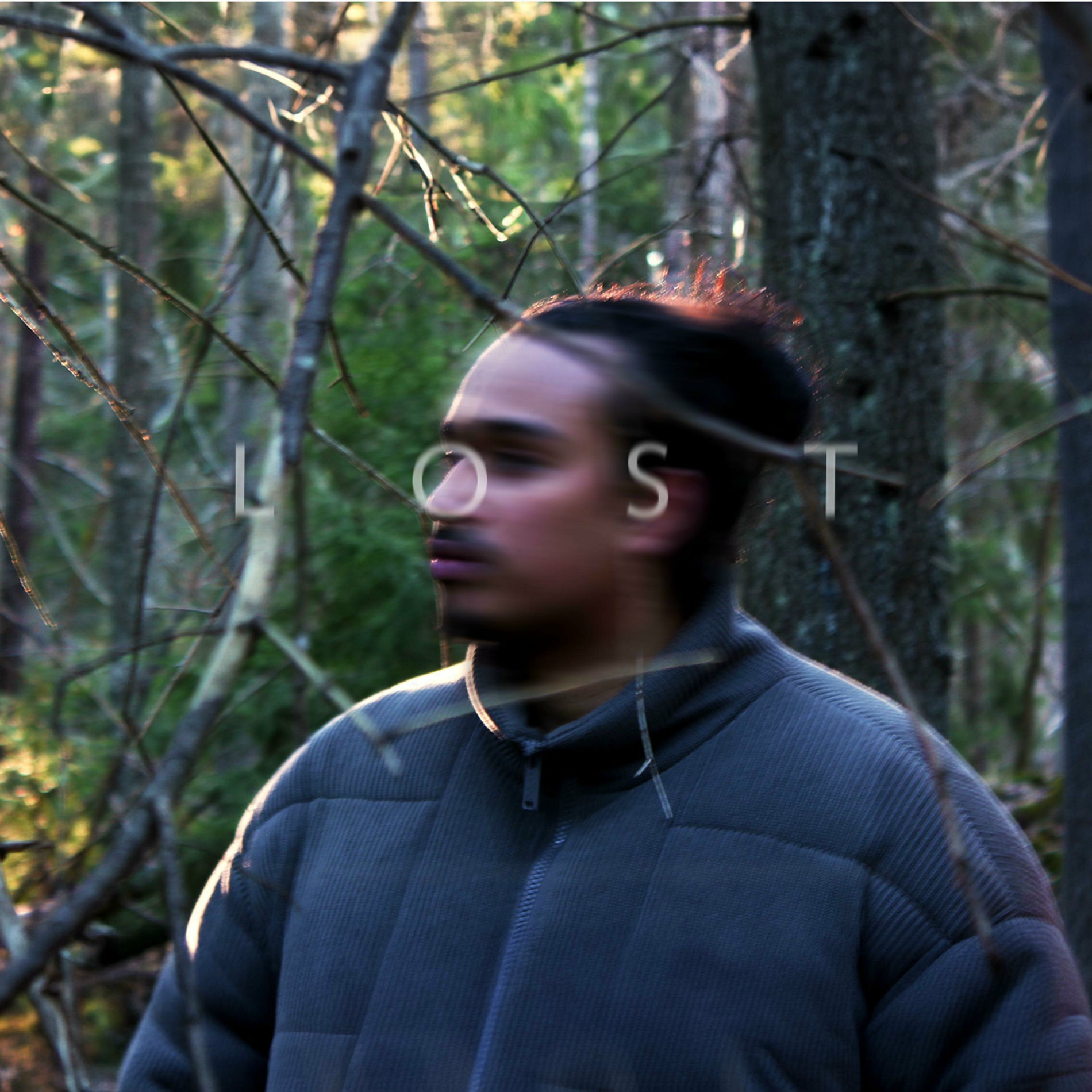Album cover of Lost
