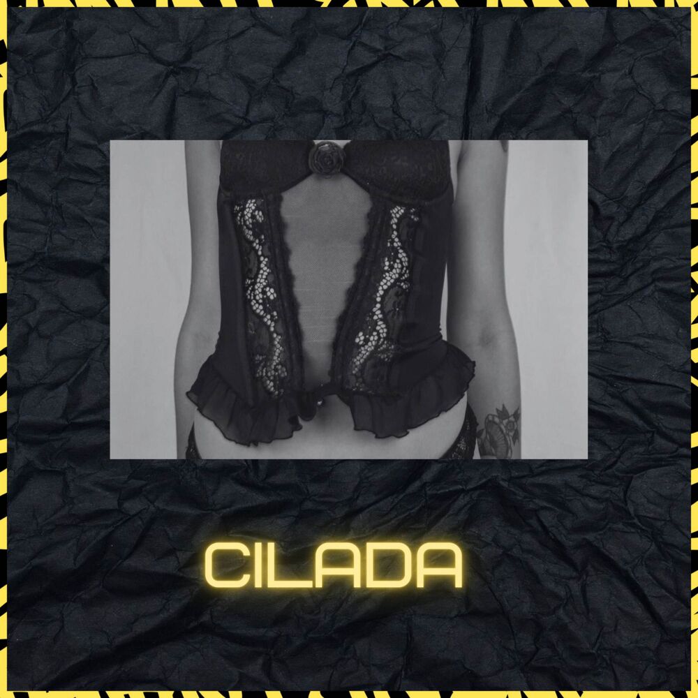 Picture of Cilada