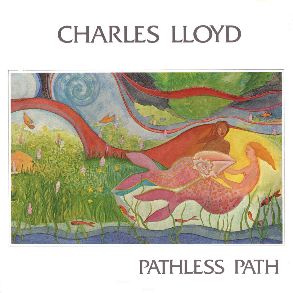 Picture of Pathless Path