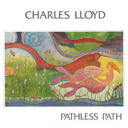 Cover of Pathless Path