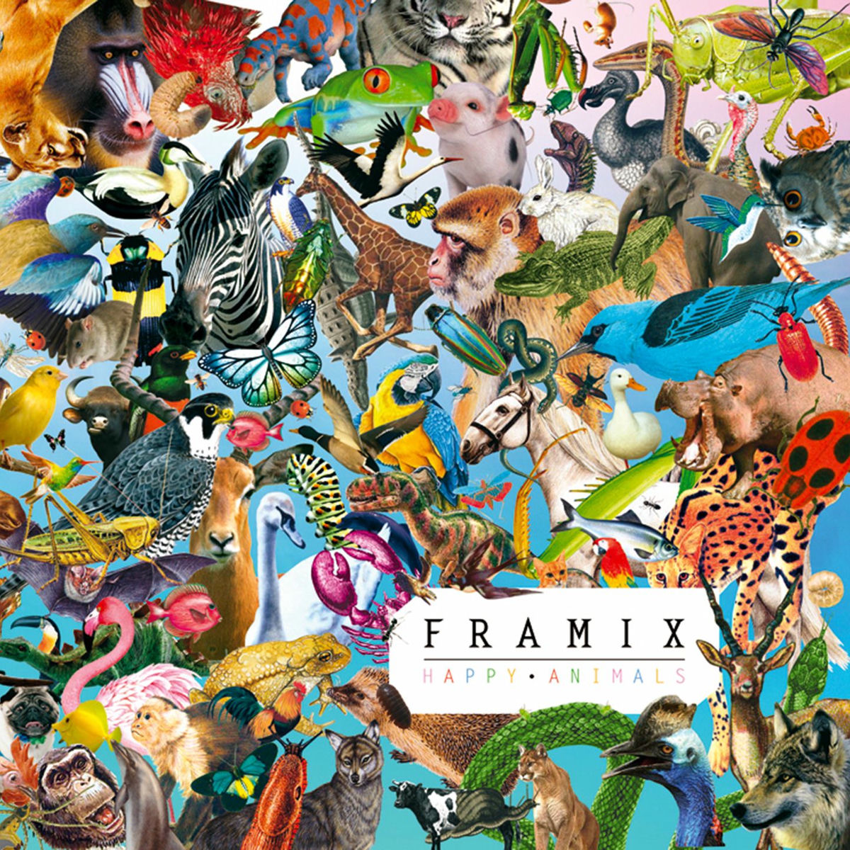 Album cover of Happy Animals