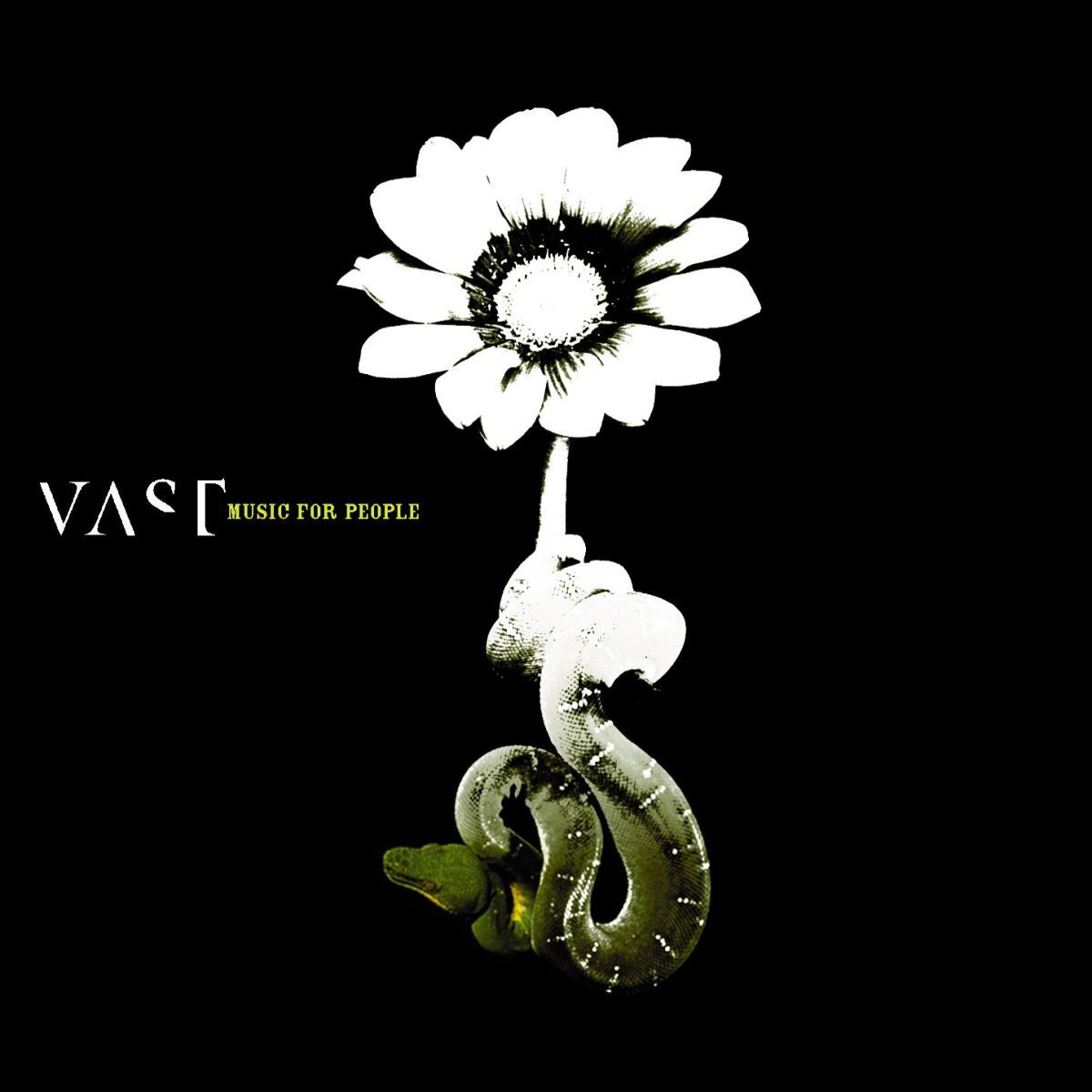 Album cover of Free