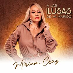 Cover of A Las Ilusas De Mi Marido