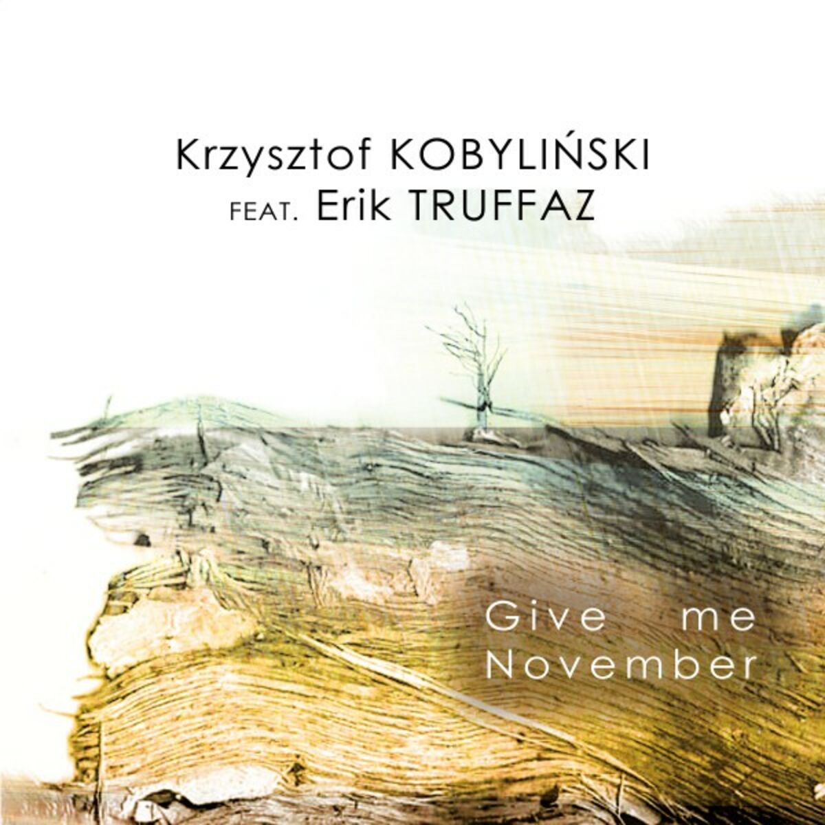 Album cover of Give Me November