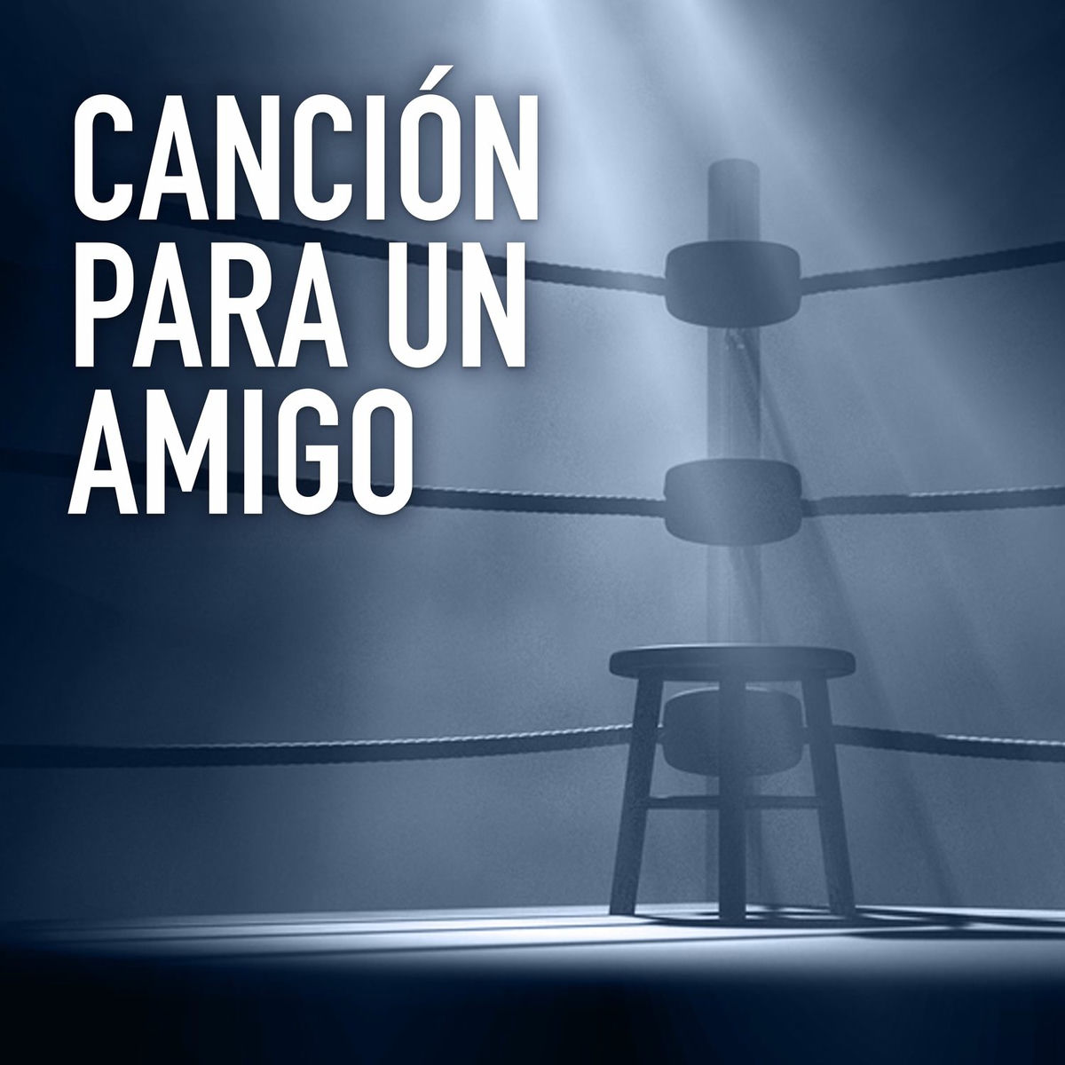 Album cover of Canción para un Amigo