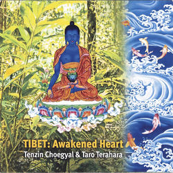 Descargar Snow Lion - Tenzin Choegyal MP3