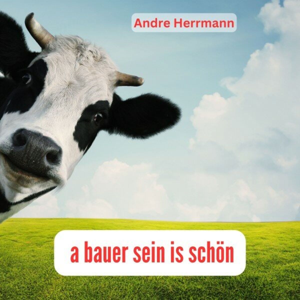 Album cover of A Bauer sein is schön