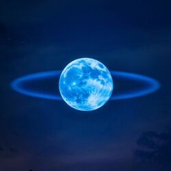 Cover of Blue moon