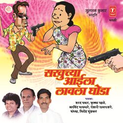 Cover of Sakhuchya Aaila Laavla Ghoda