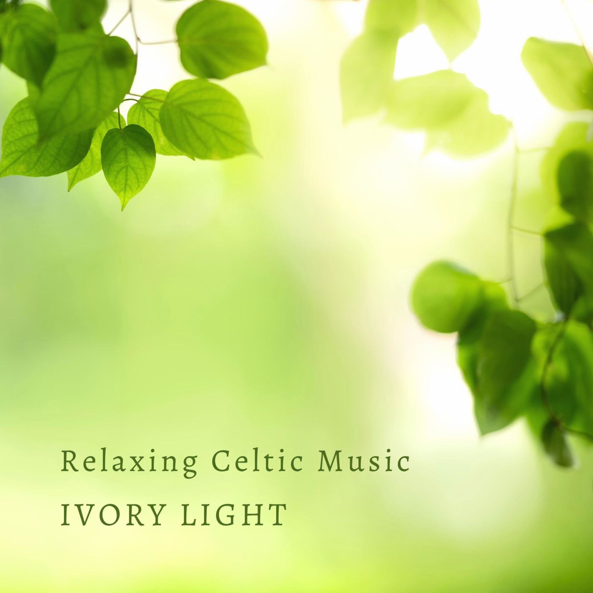 Album cover of Relaxing Celtic Music