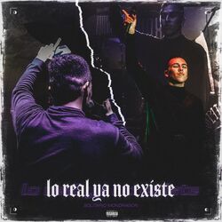 Cover of Lo Real Ya No Existe