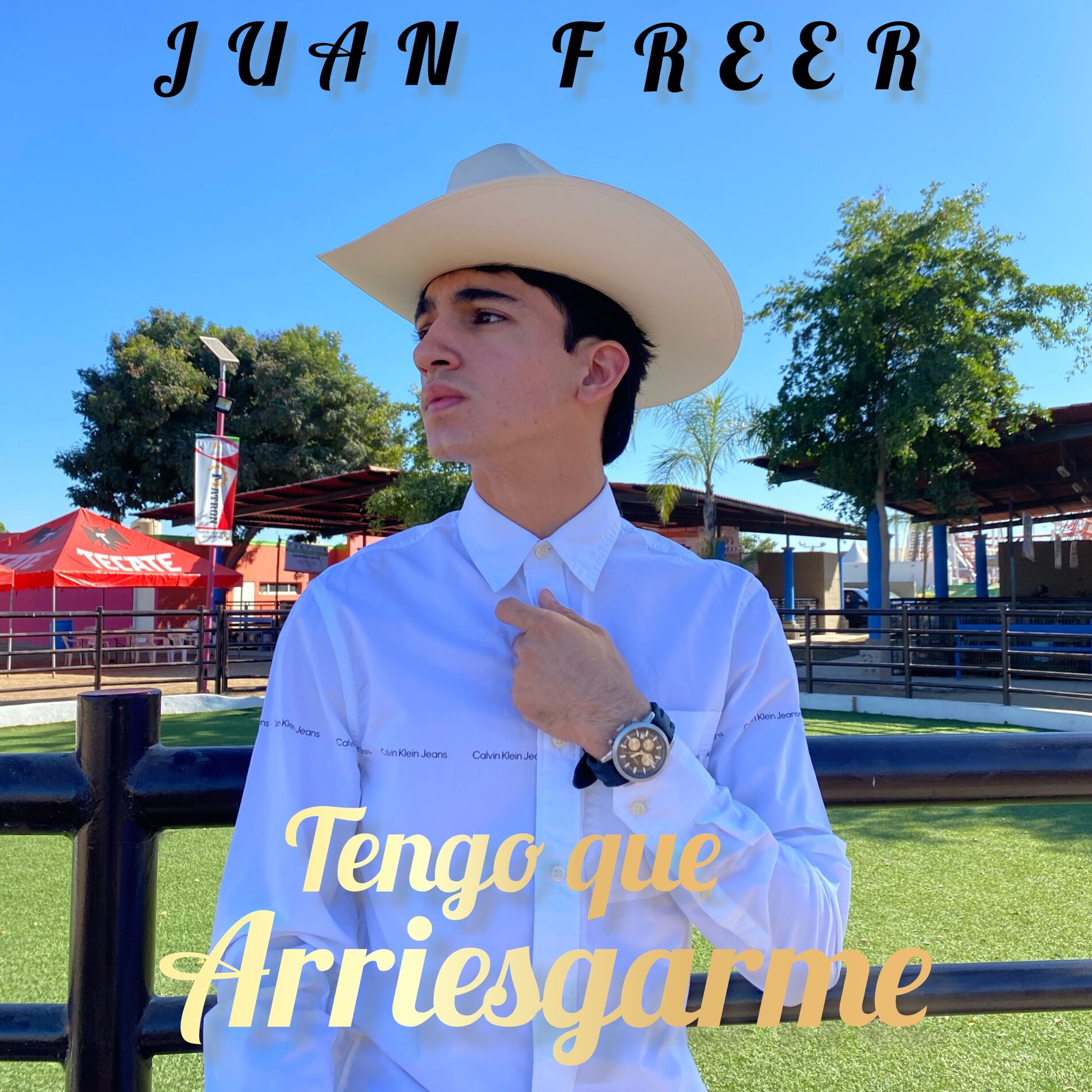 Album cover of Tengo Que Arriesgarme