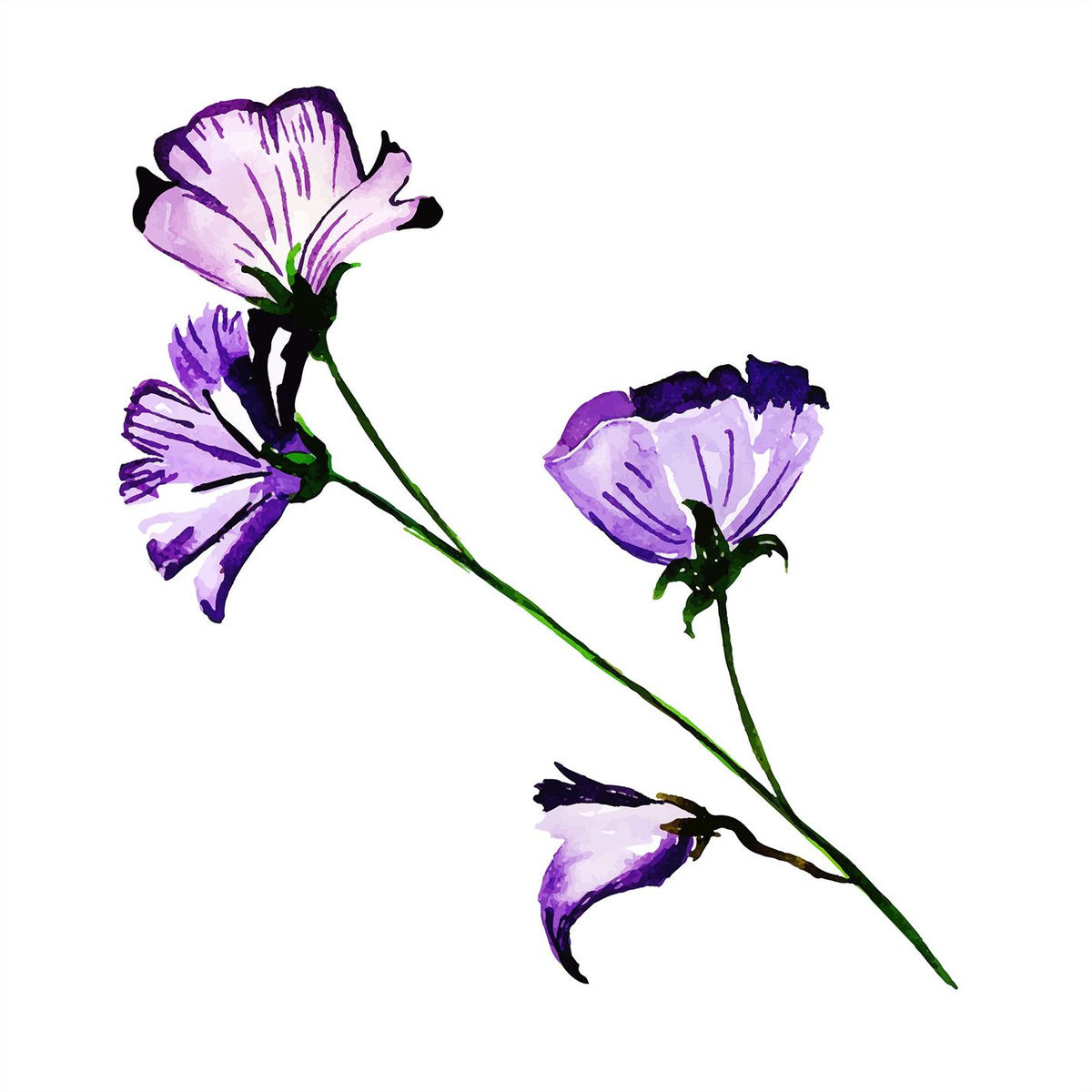 Album cover of Montreal